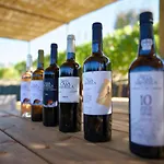 Quinta Da Casa Amarela- Casas Da Quinta - Turismo Em Espaco Rural