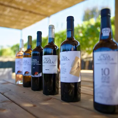 Quinta Da Casa Amarela- Casas Da Quinta - Turismo Em Espaco Rural