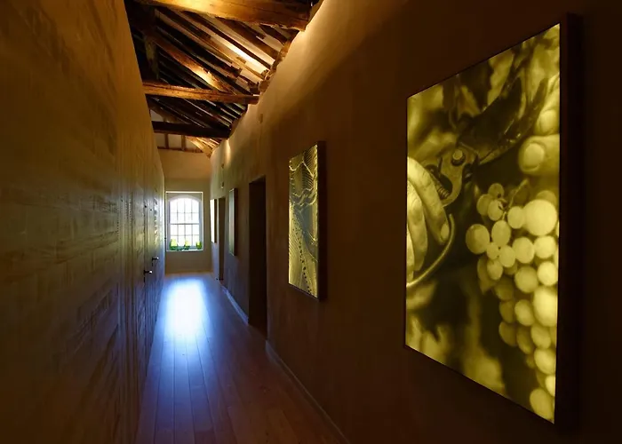 Quinta Da Casa Amarela- Casas Da Quinta - Turismo Em Espaco Rural Feriegård Lamego