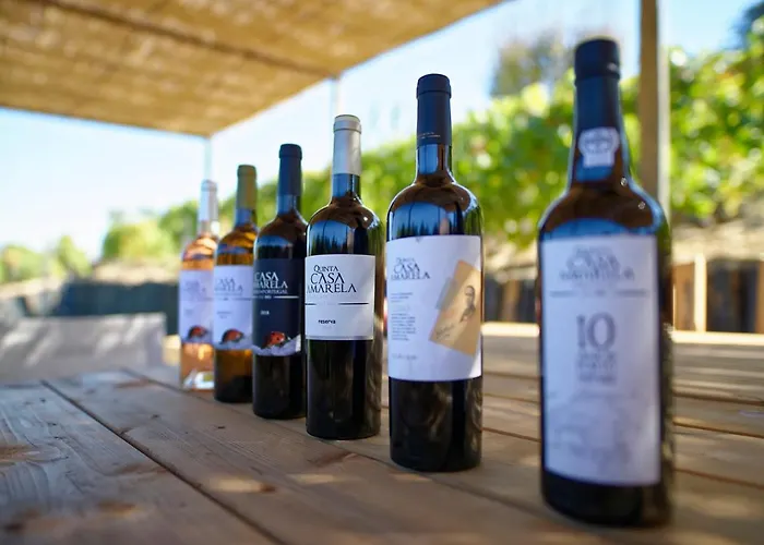 Quinta Da Casa Amarela- Casas Da Quinta - Turismo Em Espaco Rural