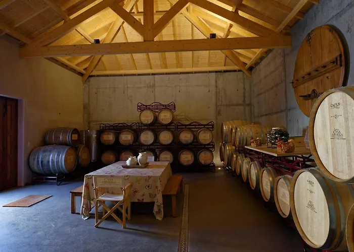 Quinta Da Casa Amarela- Casas Da Quinta - Turismo Em Espaco Rural *