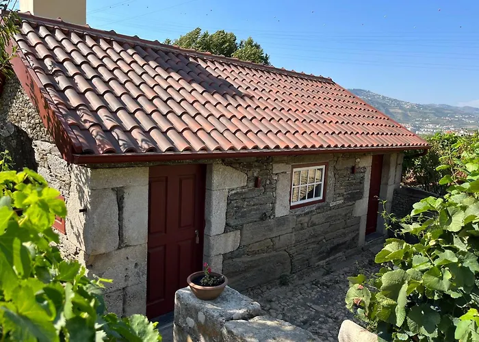 Lantgård Quinta Da Casa Amarela- Casas Da Quinta - Turismo Em Espaco Rural Lamego